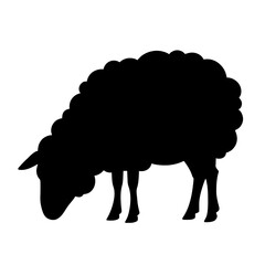 Minimalist black silhouette of a grazing sheep with fluffy rounded body