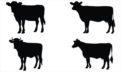 silhouettes of cows
