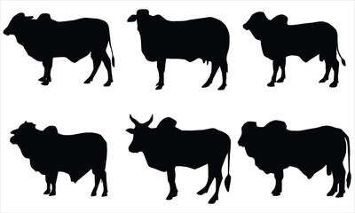 silhouettes  set of cows