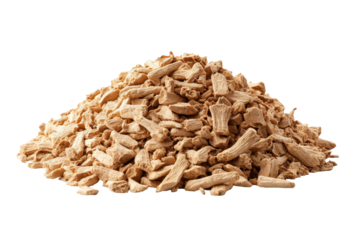 Dried Angelica Root Pieces Herbal Medicine Natural Remedy, isolated on transparent background