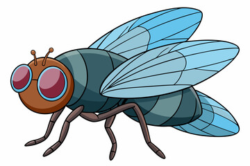 vector illustration of cartoon fly