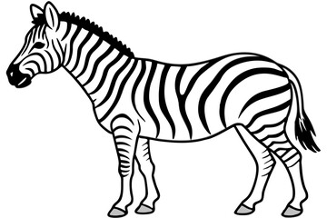 Minimalist Zebra Line Art on White Background