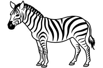 Minimalist Zebra Line Art on White Background