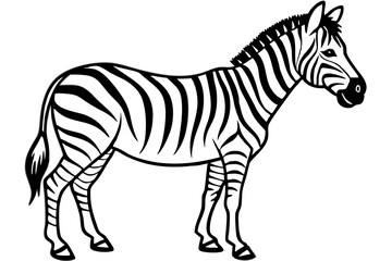 Minimalist Zebra Line Art on White Background