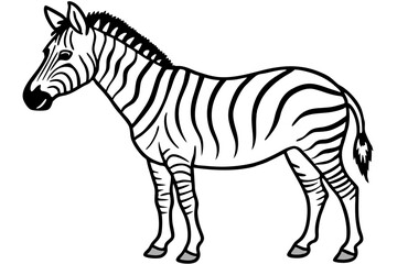 Minimalist Zebra Line Art on White Background