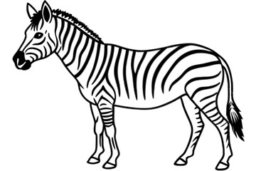 Minimalist Zebra Line Art on White Background