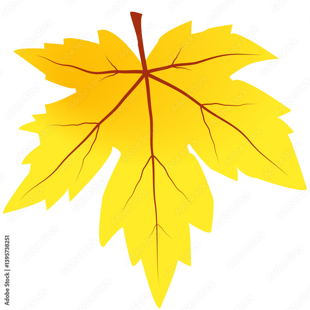 Canvas Prints maple leaves on isolated transparent background.