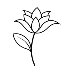 godetia flower line art vector illustration