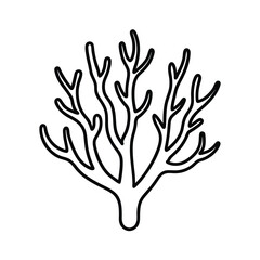 Fototapeta premium coral line art vector illustration