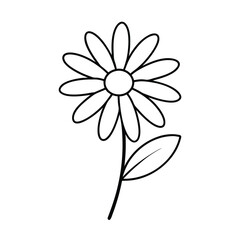chamomile flower line art vector illustration