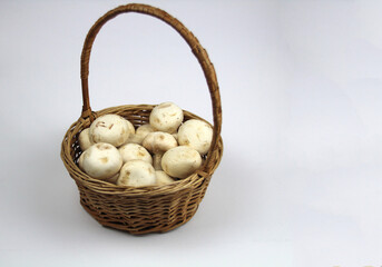 On a white background, there are collected mushrooms in a basket