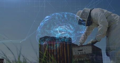 Tending hive, beekeeper using animation of digital brain and network connections - Powered by Adobe