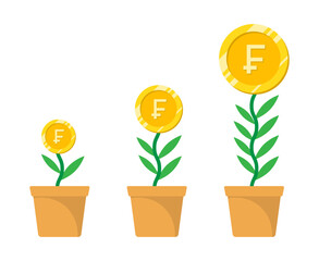 Franc currency money plant investment growth illustration with leaves, pot and dollar gold coin.