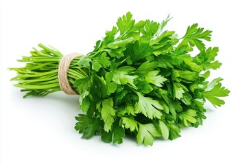 A bunch of fresh parsley tied with twine isolated on white background