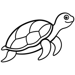 turtle vector illustration