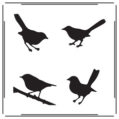 Warbler silhouette, Warbler illustration ,Warbler clipart, Warbler vector , Warbler icon , black Warbler , Warbler illustration on white background,