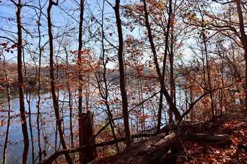 The view of the lake in the forest on a fall day.