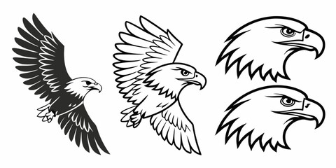 Obraz premium Black and White Vector Eagle Illustrations Set Flying Eagles and Eagle Headshots - Wildlife Bird of Prey for Mascot Emblem Logo Graphic Design Elements Pack