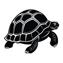 turtle vector illustration