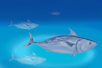 a school of tuna swimming in the depths of the blue sea