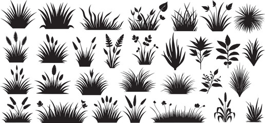 Grass elements set collection vector illustration
