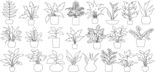 Fototapeta premium Houseplants set of outline drawings plants, Set of plant in pot hand drawn vector illustrations house plant, home decoration vector illustration