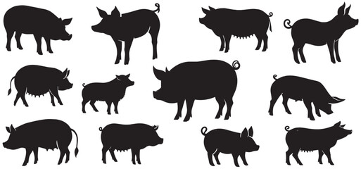 Naklejka premium Silhouette Pig breeds collection. Farm animals set , Set of pigs vector illustration