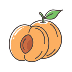 apricot fruit icon, apricot fruit vector illustration-simple illustration of apricot fruit, perfect for apricot fruit logos and icons