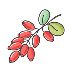 barberry icon, barberry vector illustration-simple illustration of barberry, perfect for barberry logos and icons