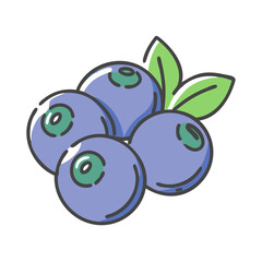 bilberry icon, bilberry vector illustration-simple illustration of bilberry, perfect for bilberry logos and icons
