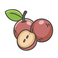 camu camu fruit icon, camu camu fruit vector illustration-simple illustration of camu camu fruit, perfect for camu camu fruit logos and icons