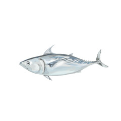 vector illustration of a tuna fish without background