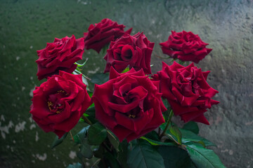 Bouquet of lush red roses. Floral background of red roses.