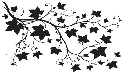 Silhouette of Tree Branches with Leaves white background