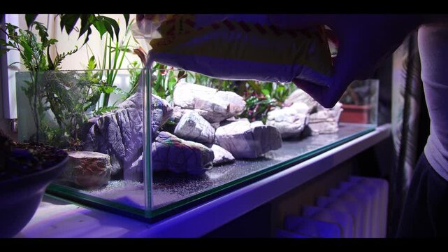 Aquascaping aquariums