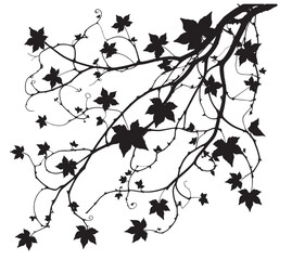 Silhouette of Maple Tree Branch. A minimalist black silhouette of a maple tree branch with leaves vector