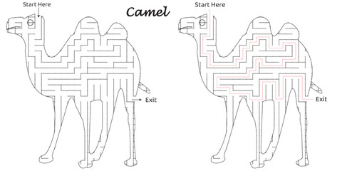 Engage young minds with this fun and educational lion-themed maze for kids! This printable activity features an exciting maze puzzle designed to challenge children’s problem-solving skills. 