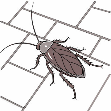 brown cockroach crawling on white grid clip art preview