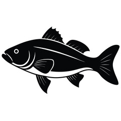 fish on a white background