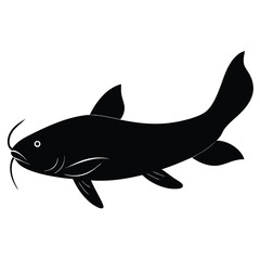 fish isolated on white background