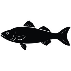 fish on a white background