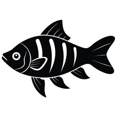 fish on a white background