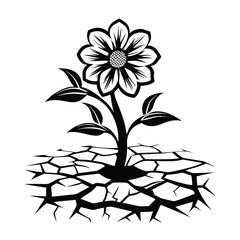 Black and White Flower Growing Through Cracked Ground Texture on White Background