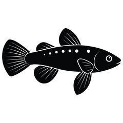 fish isolated on white background