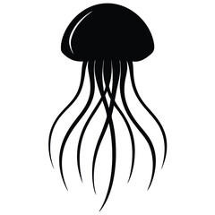 jellyfish on black background