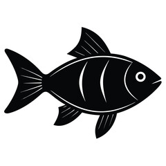 fish on a white background