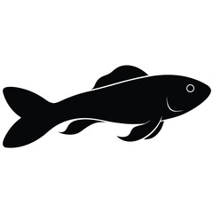 vector illustration of fish