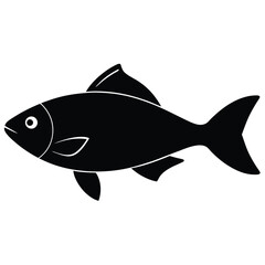 fish on a white background