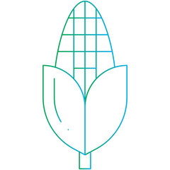 Corn single vector illustration icon