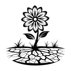 Flower Growing in Cracked Dry Ground Black Silhouette, Resilience, Drought Concept